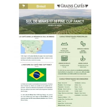 Café en grain Brésil Bahia : un café suave et gourmant aux saveurs