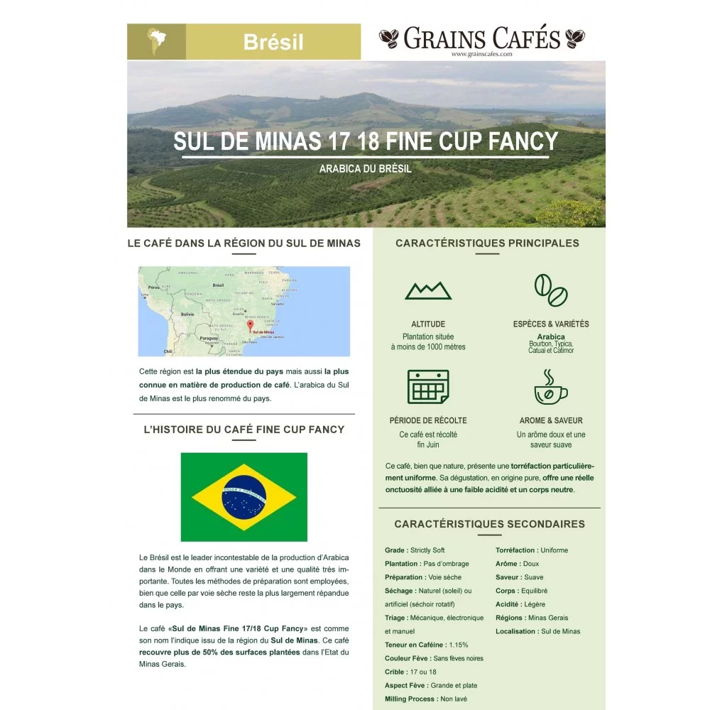 Café Brésil Grains - Suave, Long en bouche - Torréfaction Artisanale