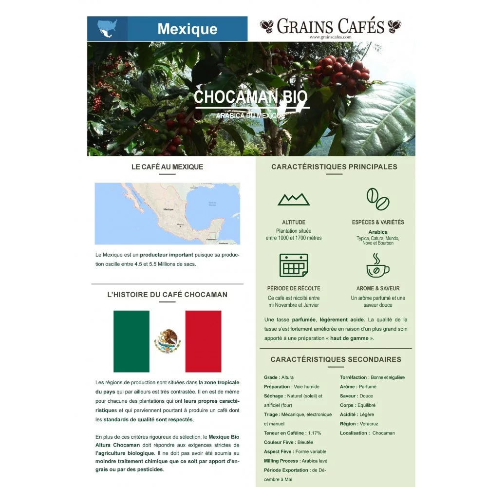 Café Mexique Pur Arabica Equitable Grains - Destination Bio